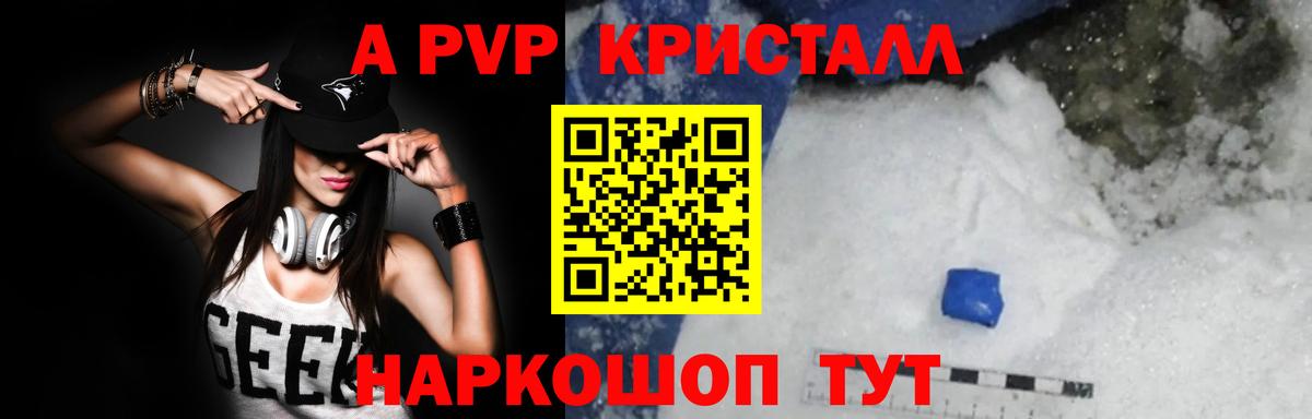 Альфа ПВП СК КРИС Хасавюрт